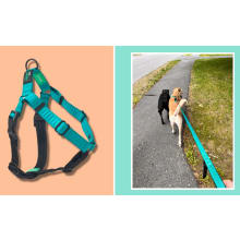 Product image of Rover Gear leashes and harnesses