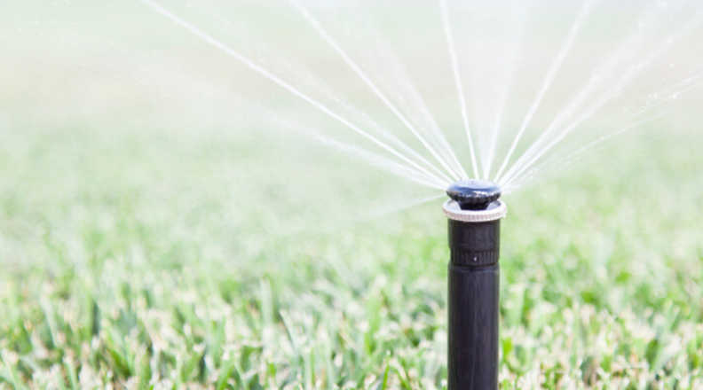 A sprinkler is on and spraying a yard.