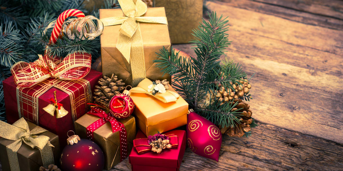 Best Last Minute Holiday Or Christmas Gifts Reviewed Home Garden