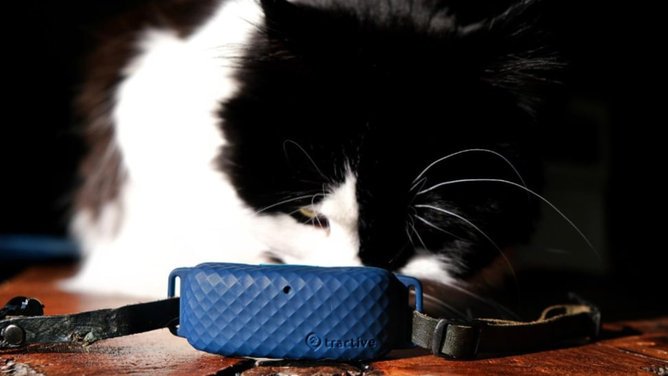 Tractive GPS for Cats and Dogs