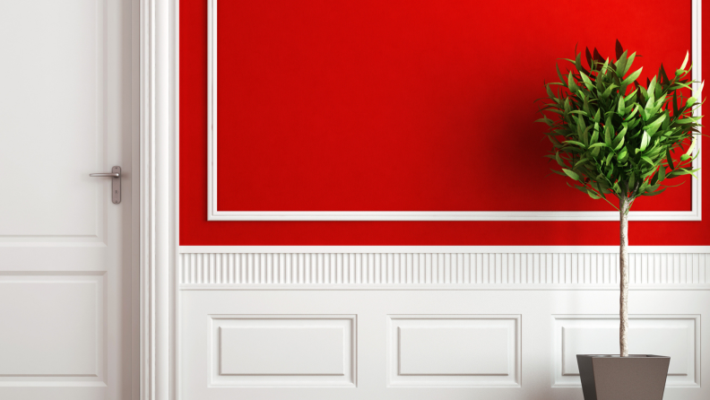 Medium-close view of a hallway shows a wall painted red with white wooden trim beside an all-white door. There's a potted plant on the floor.