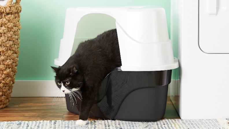 A hooded litter box will help to minimize mess in your home.
