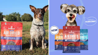 Get 20% off air dried dog food from Pawstruck