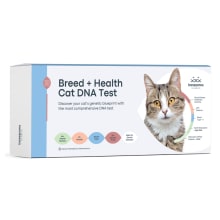Product image of Breed + Health Cat DNA Test
