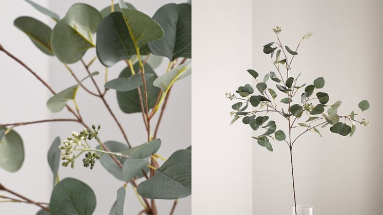 18 Fake Plants That Don T Actually Look Fake Reviewed Home Garden