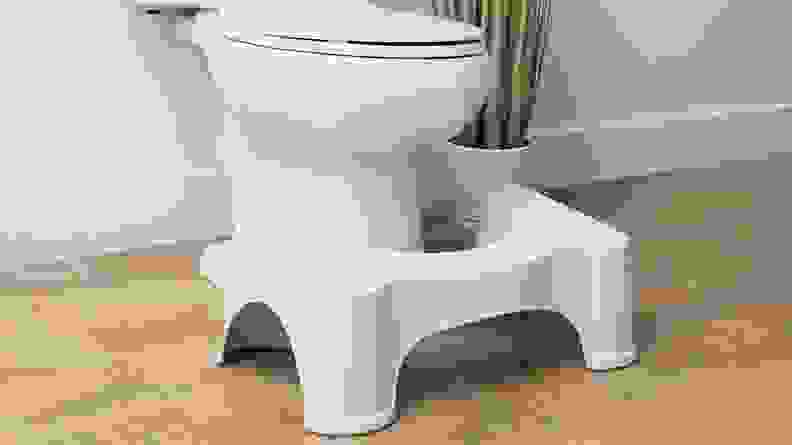 squattypotty