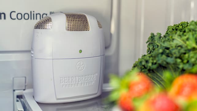 Berry Breeze Fridge Fresh