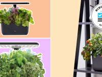 A collage of AeroGarden indoor hydroponic systems on a colorful background.
