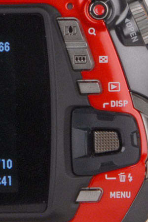 Buttons Photo 1