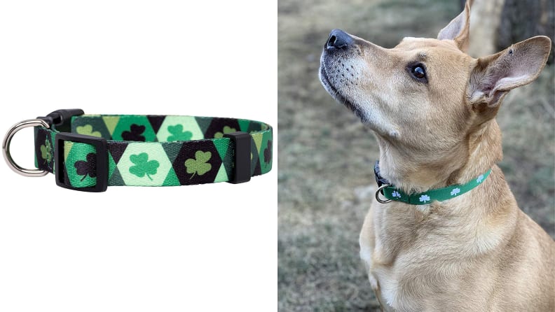 shamrockcollar