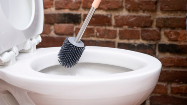A person cleans a toilet with a toilet brush