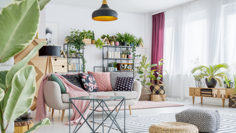 Living room with many plants scattered about