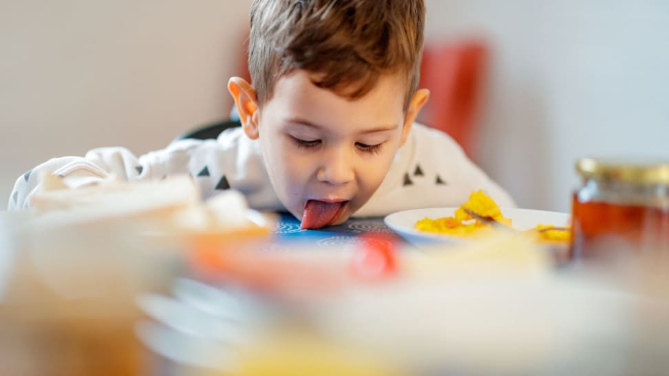 Cute little 2.5 year old boy licking some spilled milk of dining table