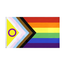 Product image of Intersex Progress Pride Flag
