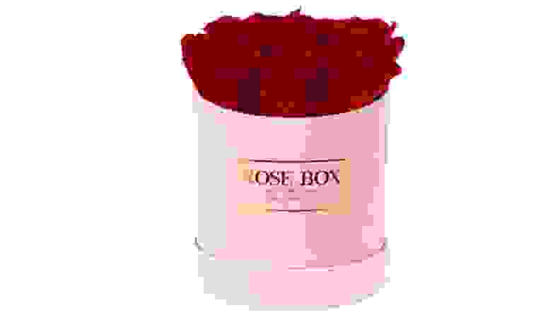 A round box of red roses