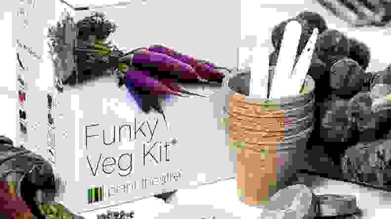 Funky Veggies Kit