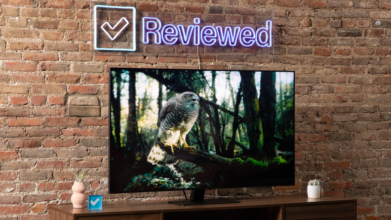 Samsung Q80B TV in front of brick wall under neon sign indoors with swopping large bird on screen.