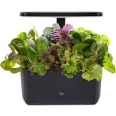 Product image of AeroGarden Harvest 2.0