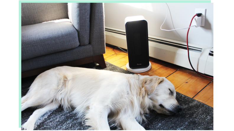 A dog enjoying the heat of the Govee Space Heater.