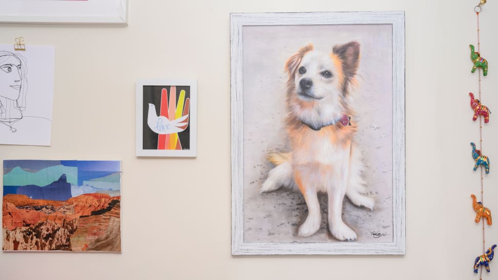 Paint Your Life dog portrait on a wall with other artwork