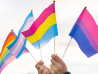 Two hands holding up mini Pride Flags (from right to left: bisexual flag, pansexual flag, transgender flag, and rainbow flag)