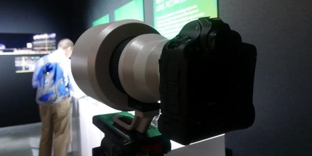Canon 600mm f/4L DO BR Optical Sample