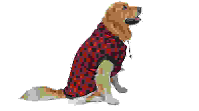 PAWZ Road Dog Sweater
