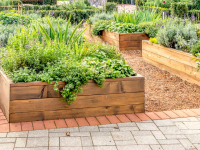 How to build raised beds