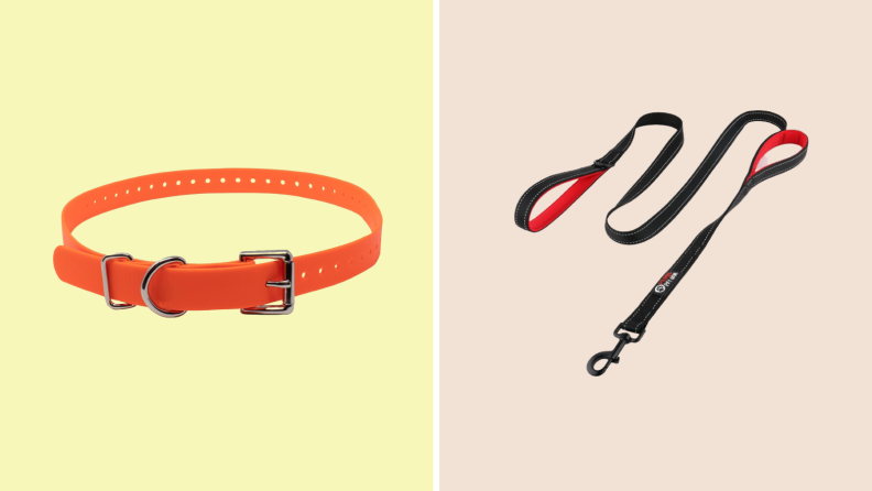 Collar and leash against a yellow and beige background, respectively