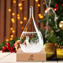 Product image of Storm Glass Weather Predictor