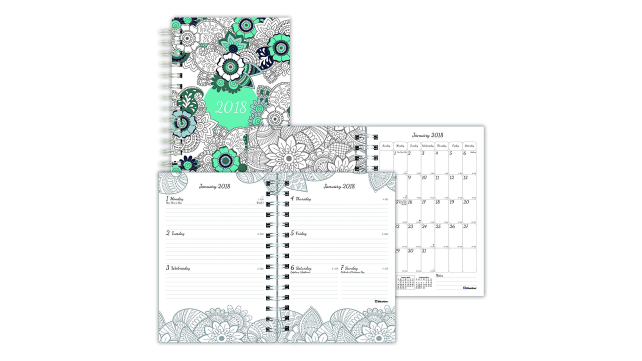 Blueline 2018 DoodlePlan Color-In Planner