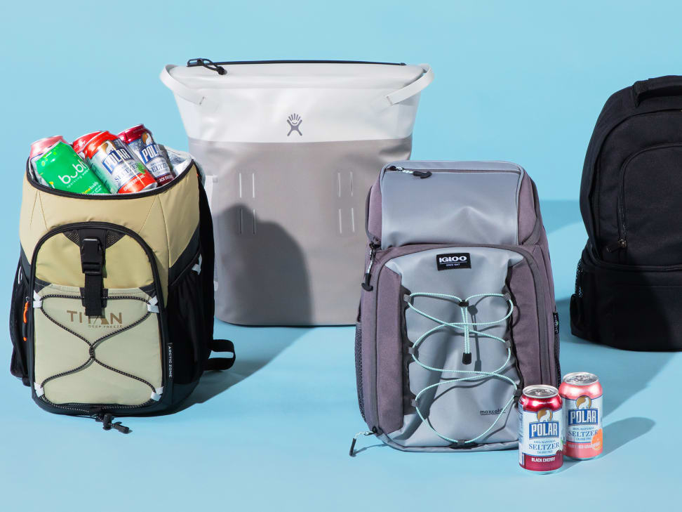 9 Best Backpack Coolers of 2024 - Reviewed
