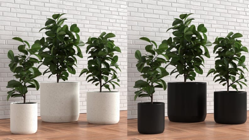 planters