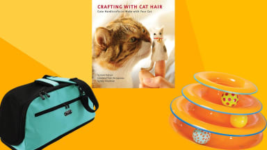Cat carrying bag, book on cat hair and an orange cat toy on a red and orange background.