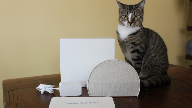 The Hatch Restore 2 device and included cords that come in the box pictured next to a cat