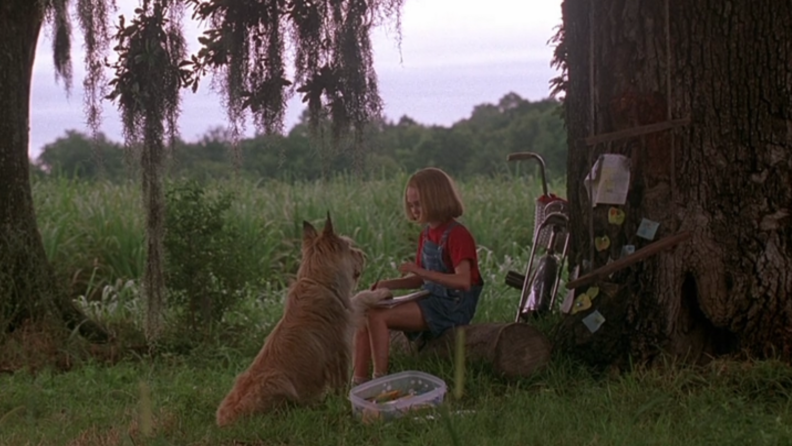 A still from 'Because of Winn-Dixie' featuring the dog and the girl sitting together in a backyard.