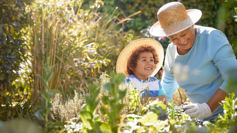 Grandmother and child gardening outdoors in a vegetable garden