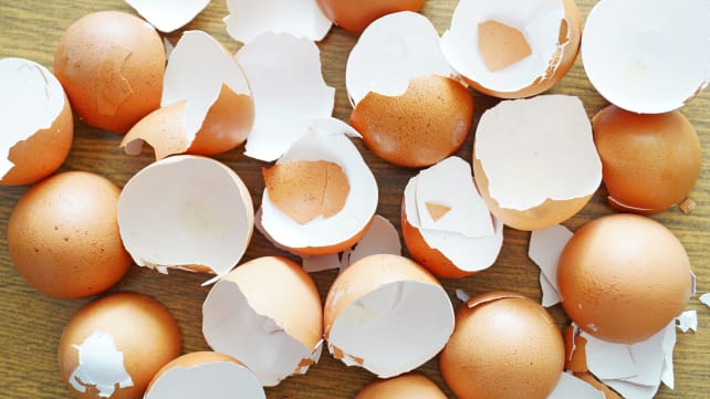 Things you should never put in your garbage disposal