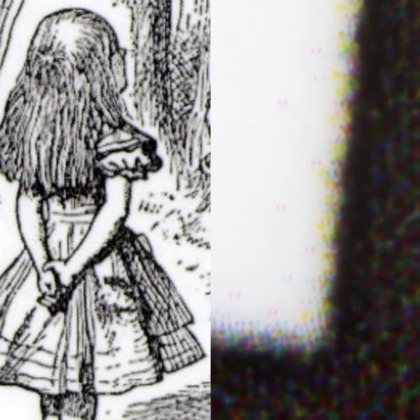 detail.jpg