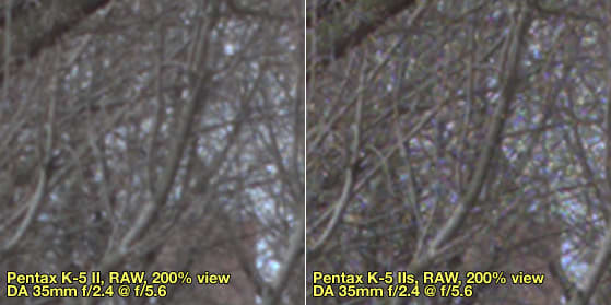 RAWComp5.jpg