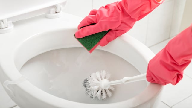 Toilet Brush In Use
