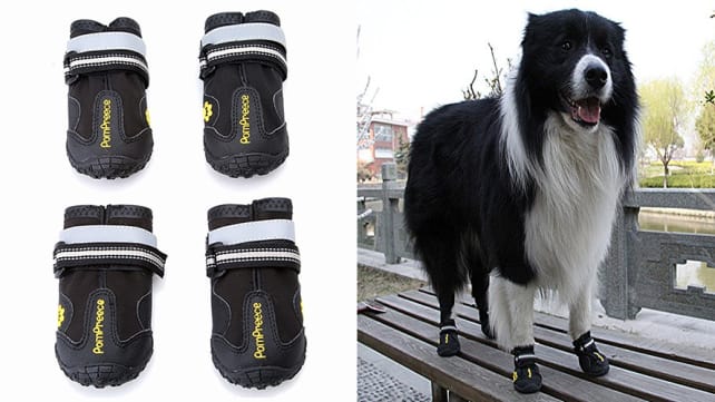 Maxshop Dog Boots