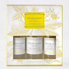 Product image of Meyer Lemon Kitchen Essentials Kit