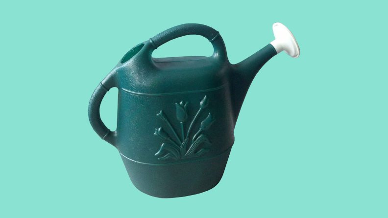 A green, watering can on a teal background.