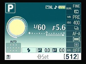 NIKON-D3000-graphic-info-display.jpg