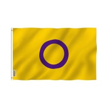 Product image of Intersex Flag