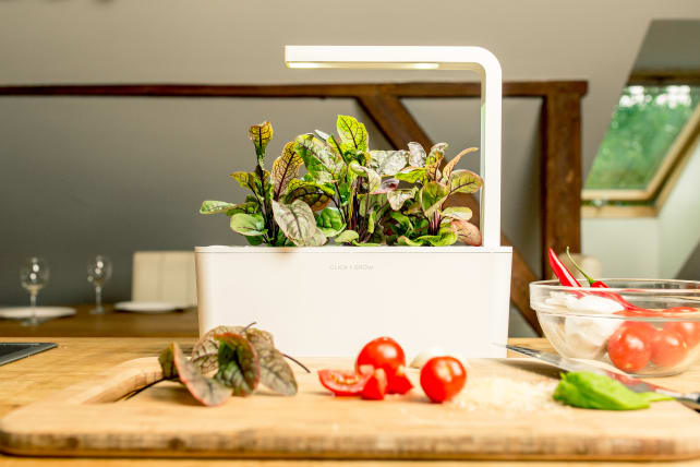 Click and Grow Smart Planter