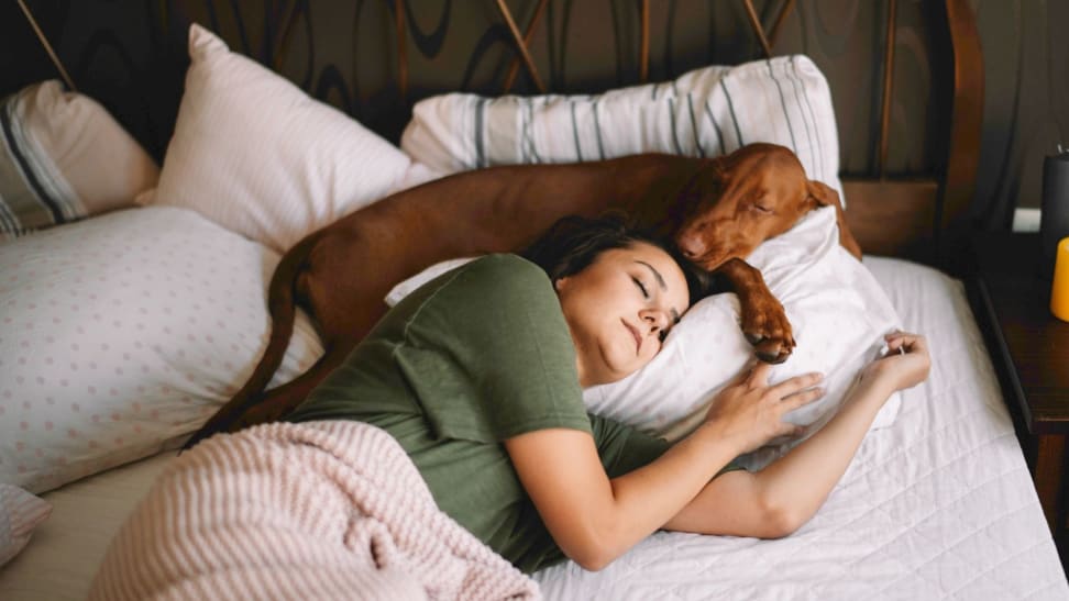 a woman and her dog cuddle in bed while sleeping