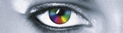LGPhotokinaLogo.jpg