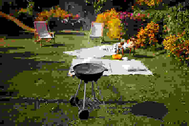 backyard barbecue